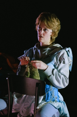 Nora oder Wie man das Herrenhaus kompostiert

© Marcella Ruiz Cruz 