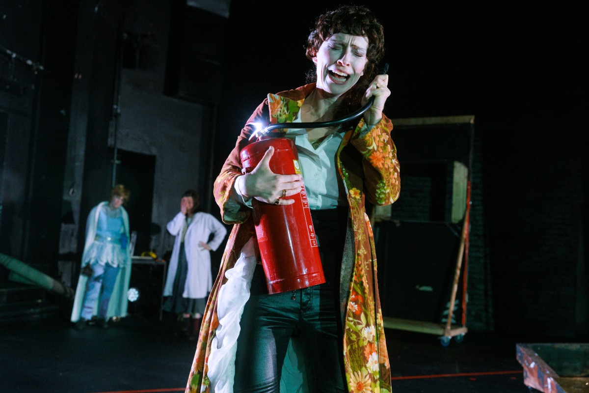 Nora oder Wie man das Herrenhaus kompostiert 