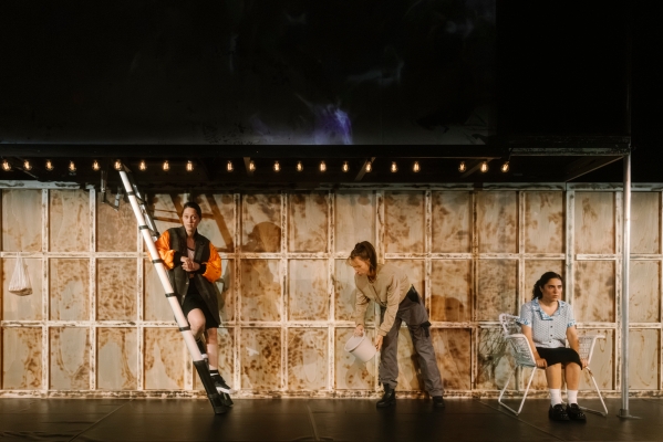 Verbranntes Land